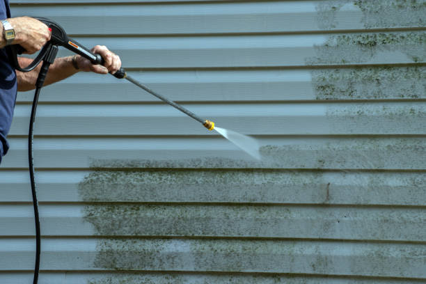 Best Paint Preparation  in Somonauk, IL